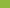 Kiwi Green - 05525