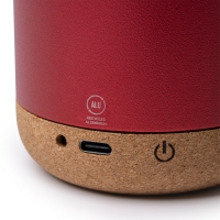 T1061 detalle 5