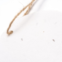T1153 detalle 3