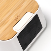 T1744 detalle 3