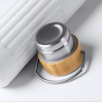 T1793 detalle 4