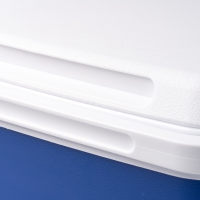 T1809 detalle 4
