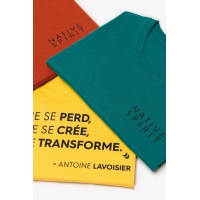XNS304 detalle 13