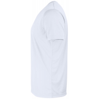 Q029038 detalle 5