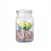 Planta decorativa kyala - Ref. M20608