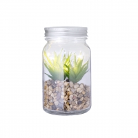 Planta decorativa kyala - Ref. M20608