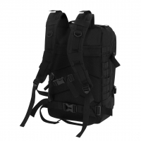 M21778 detalle 5