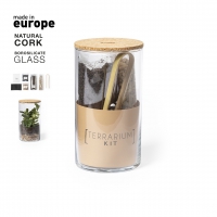Terrarium semillas de cactus incluidas anymak - Ref. M2692