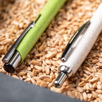 M6213 detalle 13