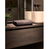 F00664 modelo 2