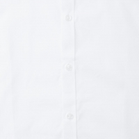 F78800 detalle 7