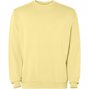 Sudadera lavado cido jaya  - Ref. S2203