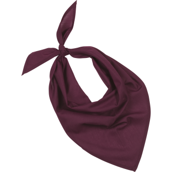pauelo Fiesta - bandana - Ref. XKP064