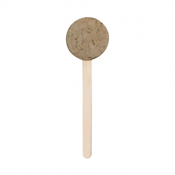 Piruleta semillas flores silvestres ebeldy - Ref. M2763 Piruleta semillas flores silvestres ebeldy - Ref. M2763