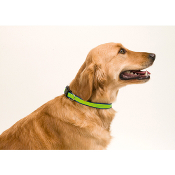 COLLAR REFLECTANTE. AJUSTABLE MUTTLEY - Ref. M3063 COLLAR REFLECTANTE. AJUSTABLE MUTTLEY - Ref. M3063