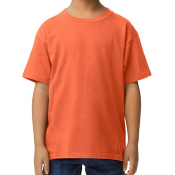 Camiseta softstyle peso medio nios - Ref. F12109