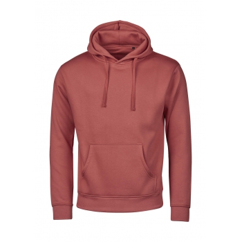 Sudadera con Capucha Urban 300GR - Ref. F22554