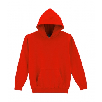 Sudadera con capucha heavy blend ni�o ni�o - Ref. F27809